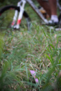 PU MTB Maratn 12 - Vojtus