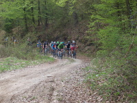 PU MTB Maratn 12 - Vojtus