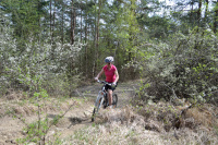 PU MTB Maratn 12 - Vojtus
