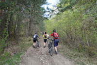 PU MTB Maratn 12 - Vojtus