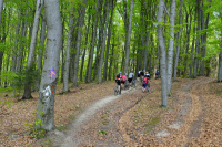 PU MTB Maratn 12 - Vojtus