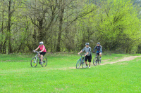 PU MTB Maratn 12 - Vojtus