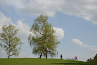 PU MTB Maratn 12 - Vojtus