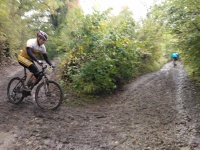 Pchovsk MTB maratn 2013 - Polaky