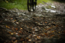 Pchovsk MTB maratn 2013 - Martin mathosh Vojtu