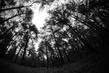 Pchovsk MTB maratn 2013 - Martin mathosh Vojtu