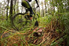 Pchovsk MTB maratn 2013 - Martin mathosh Vojtu