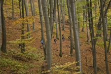 Ukonenie MTB sezny 2013 a